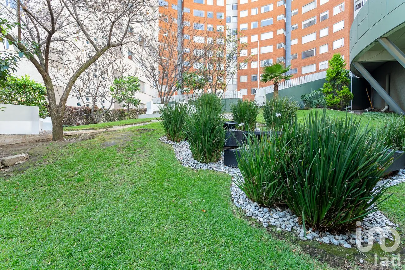 Departamento en Renta en Santa Fe, Álvaro Obregón, Ciudad de México | NEX-187840 | iad México | Foto 15 de 23