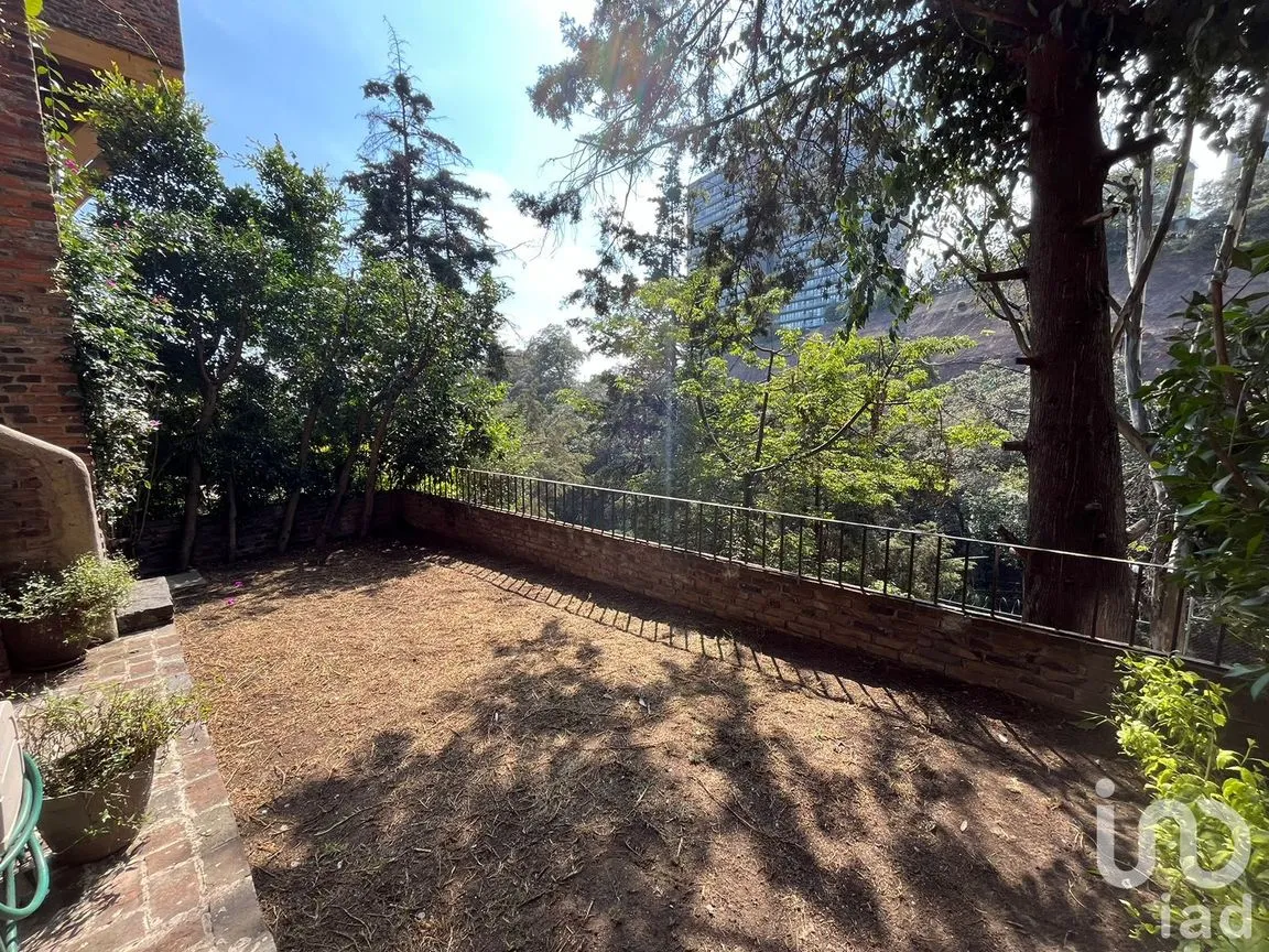 Casa en Renta en Olivar de los Padres, Álvaro Obregón, Ciudad de México | NEX-190460 | iad México | Foto 20 de 24
