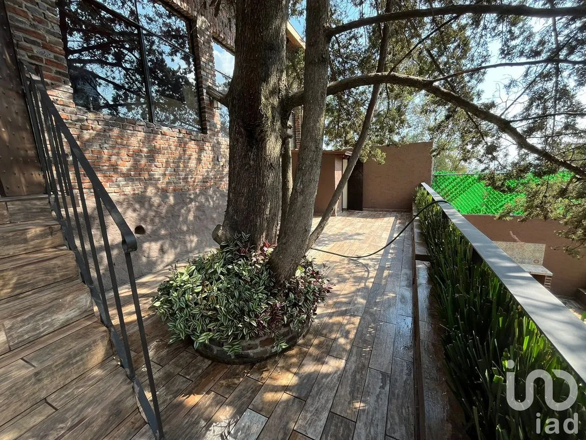 Casa en Renta en Olivar de los Padres, Álvaro Obregón, Ciudad de México | NEX-190460 | iad México | Foto 22 de 24