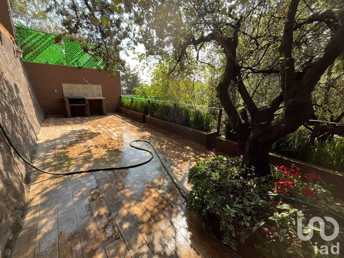 Casa en Renta en Olivar de los Padres, Álvaro Obregón, Ciudad de México | NEX-190460 | iad México | Foto 24 de 24