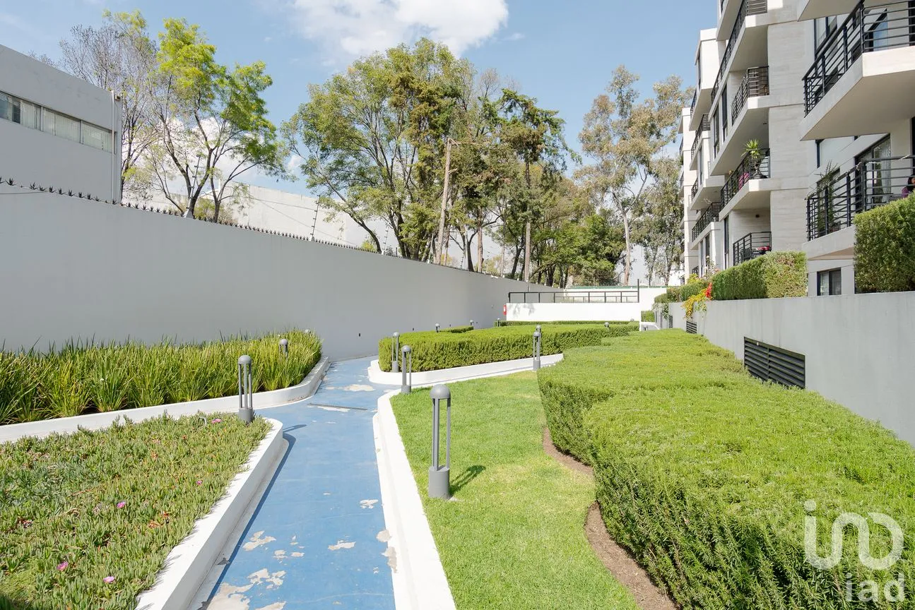 Departamento en Renta en Santa Cruz Atoyac, Benito Juárez, Ciudad de México | NEX-242778 | iad México | Foto 14 de 19