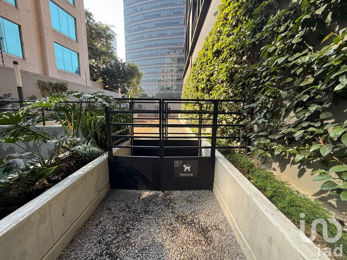 Departamento en Renta en Granada, Miguel Hidalgo, Ciudad de México | NEX-249058 | iad México | Foto 8 de 34