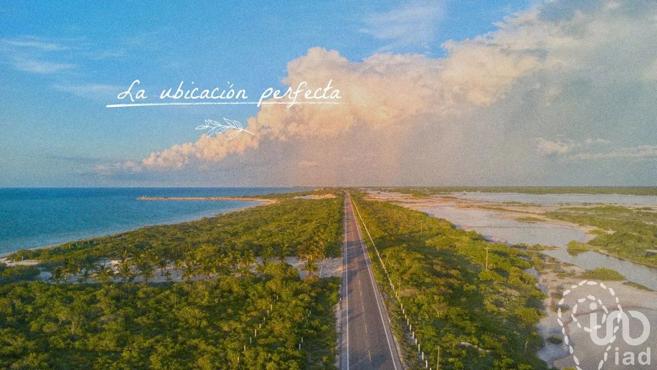 Terreno en Venta en San Crisanto, Sinanché, Yucatán | NEX-56665 | iad México | Foto 3 de 4