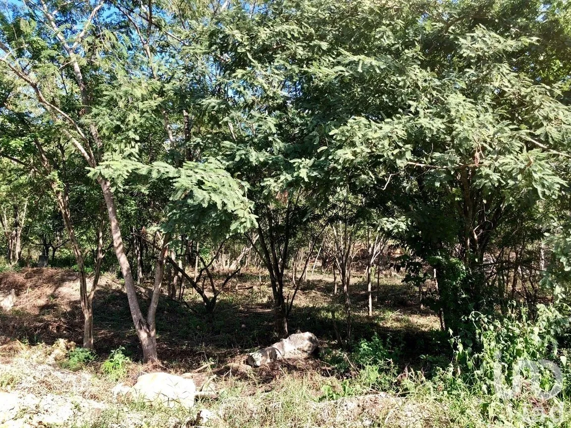 Terreno en Venta en Campestre Arenal, Tuxtla Gutiérrez, Chiapas | NEX-269488 | iad México | Foto 11 de 11