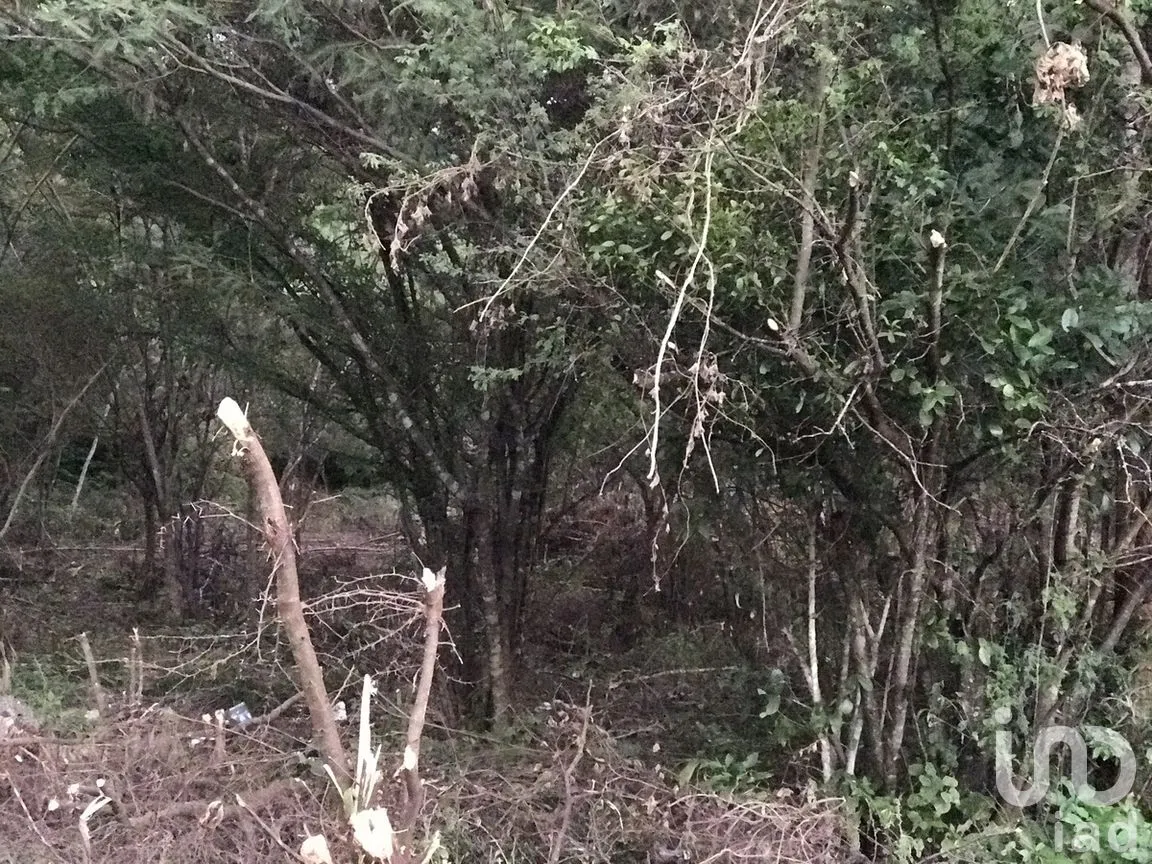 Terreno en Venta en Campestre Arenal, Tuxtla Gutiérrez, Chiapas | NEX-269488 | iad México | Foto 6 de 11