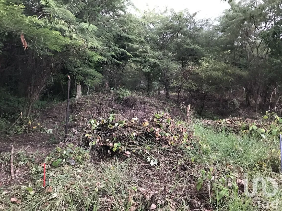 Terreno en Venta en Campestre Arenal, Tuxtla Gutiérrez, Chiapas | NEX-269488 | iad México | Foto 7 de 11