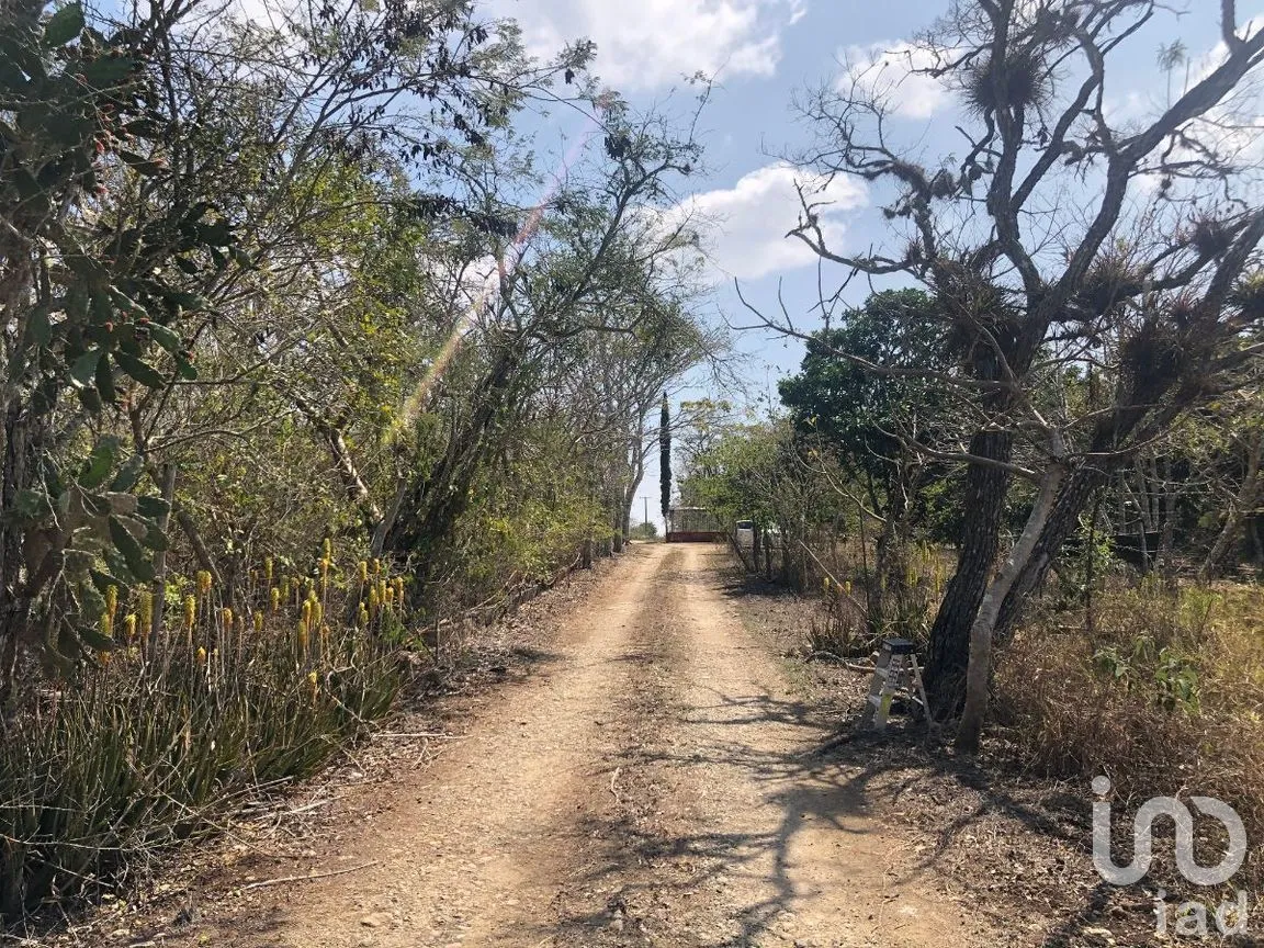 Terreno en Venta en San Antonio Bombano, Berriozábal, Chiapas | NEX-269494 | iad México | Foto 3 de 6