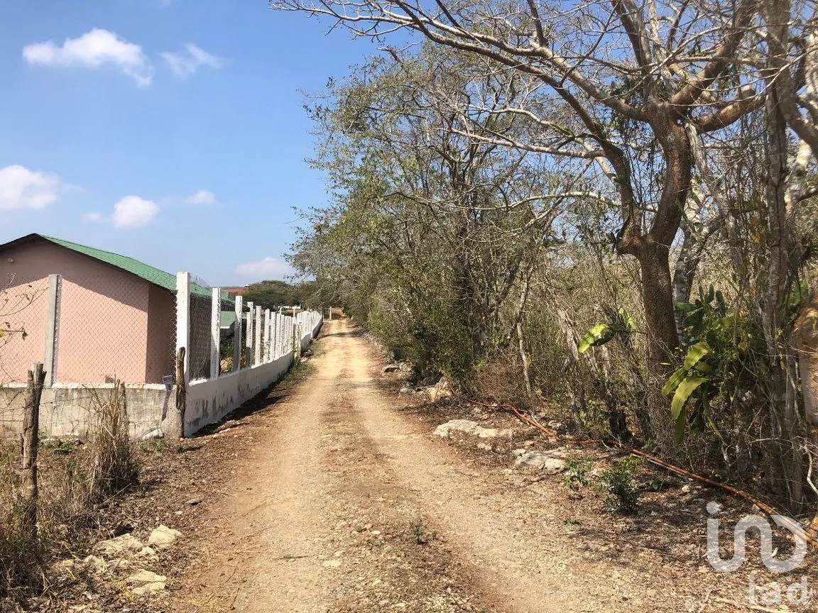 Terreno en Venta en San Antonio Bombano, Berriozábal, Chiapas | NEX-269494 | iad México | Foto 5 de 6