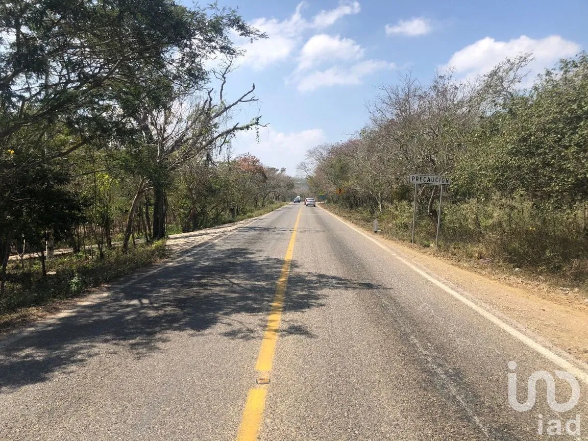 Terreno en Venta en San Antonio Bombano, Berriozábal, Chiapas | NEX-269494 | iad México | Foto 6 de 6