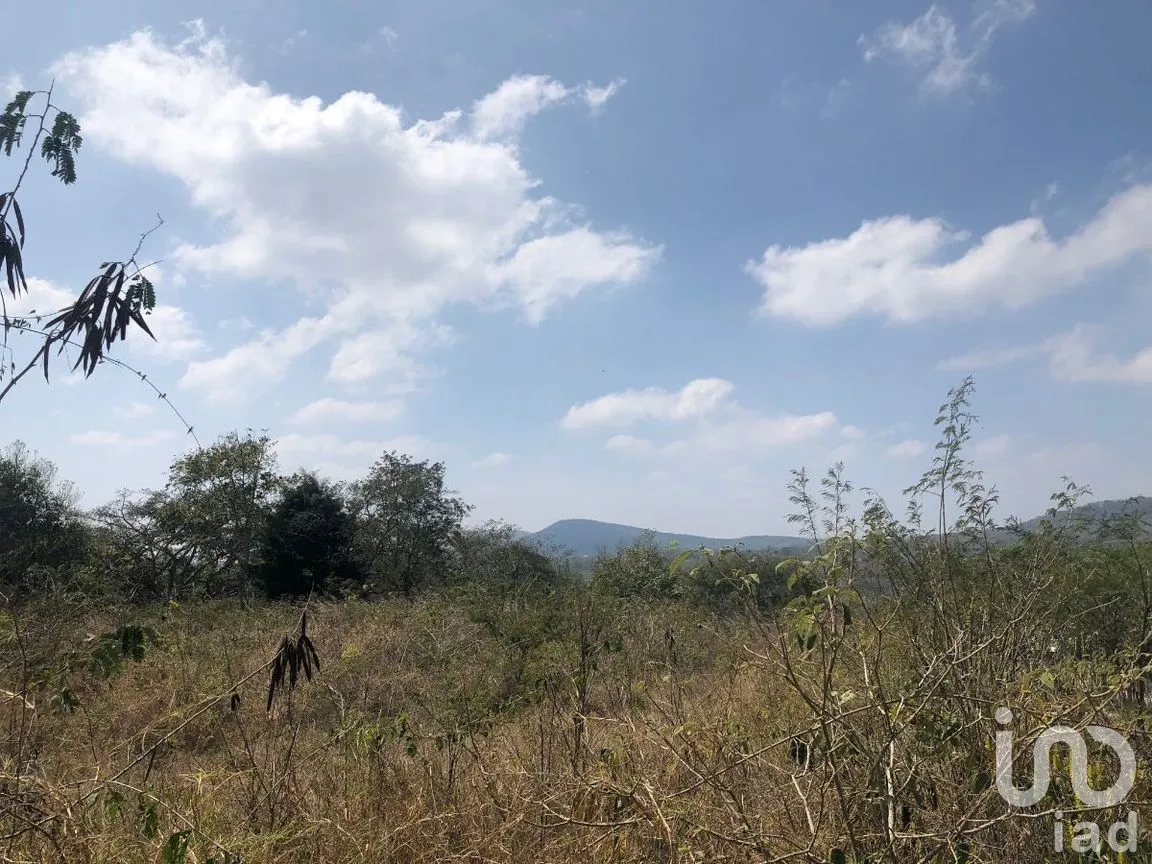 Terreno en Venta en San Antonio Bombano, Berriozábal, Chiapas | NEX-269494 | iad México | Foto 1 de 6