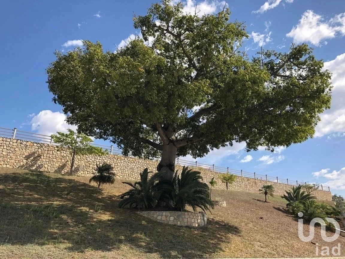 Terreno en Venta en Terán, Tuxtla Gutiérrez, Chiapas | NEX-269495 | iad México | Foto 9 de 9