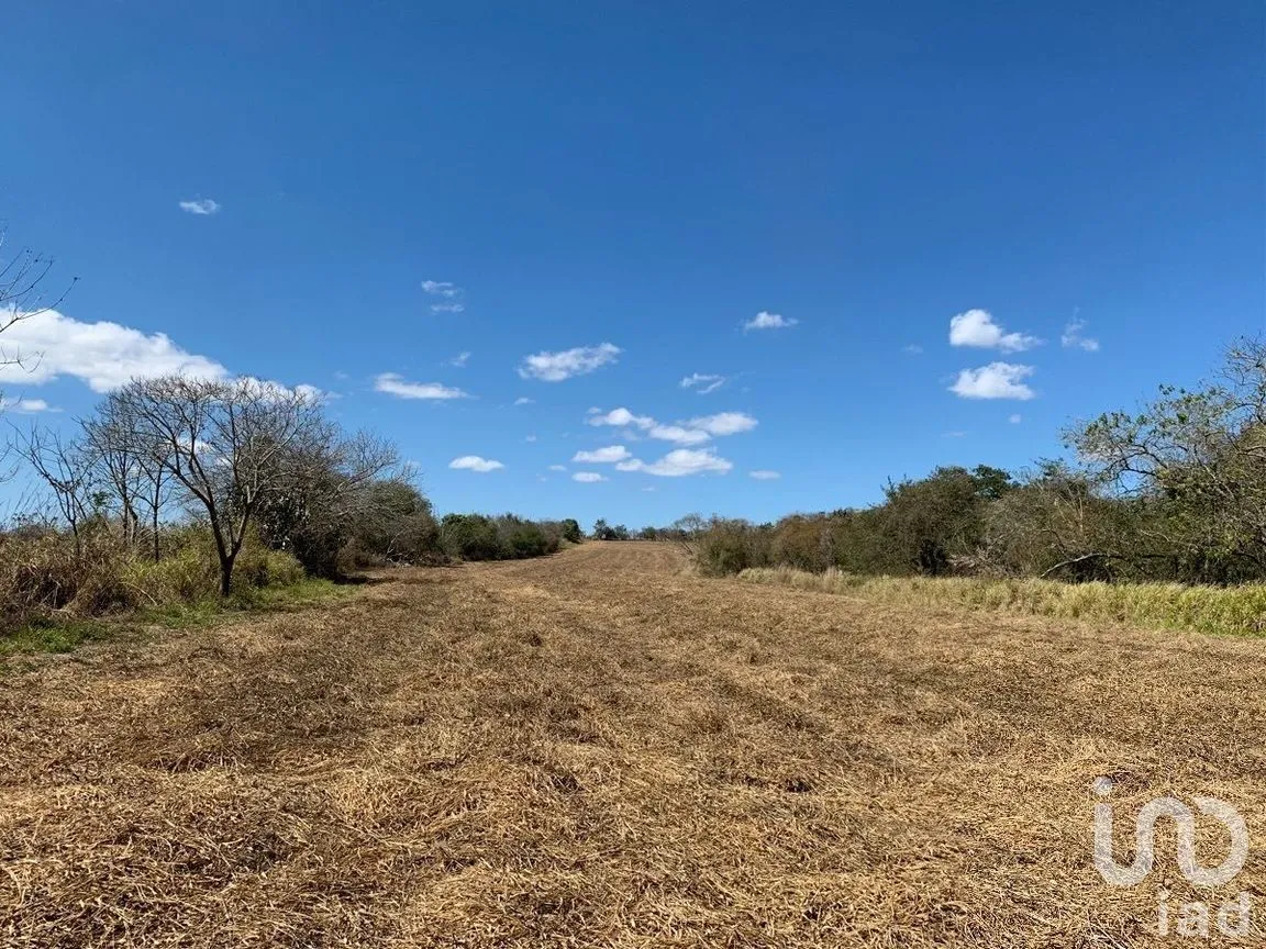 Terreno en Venta en Ocozocoautla de Espinosa Centro, Ocozocoautla de Espinosa, Chiapas | NEX-269499 | iad México | Foto 8 de 9