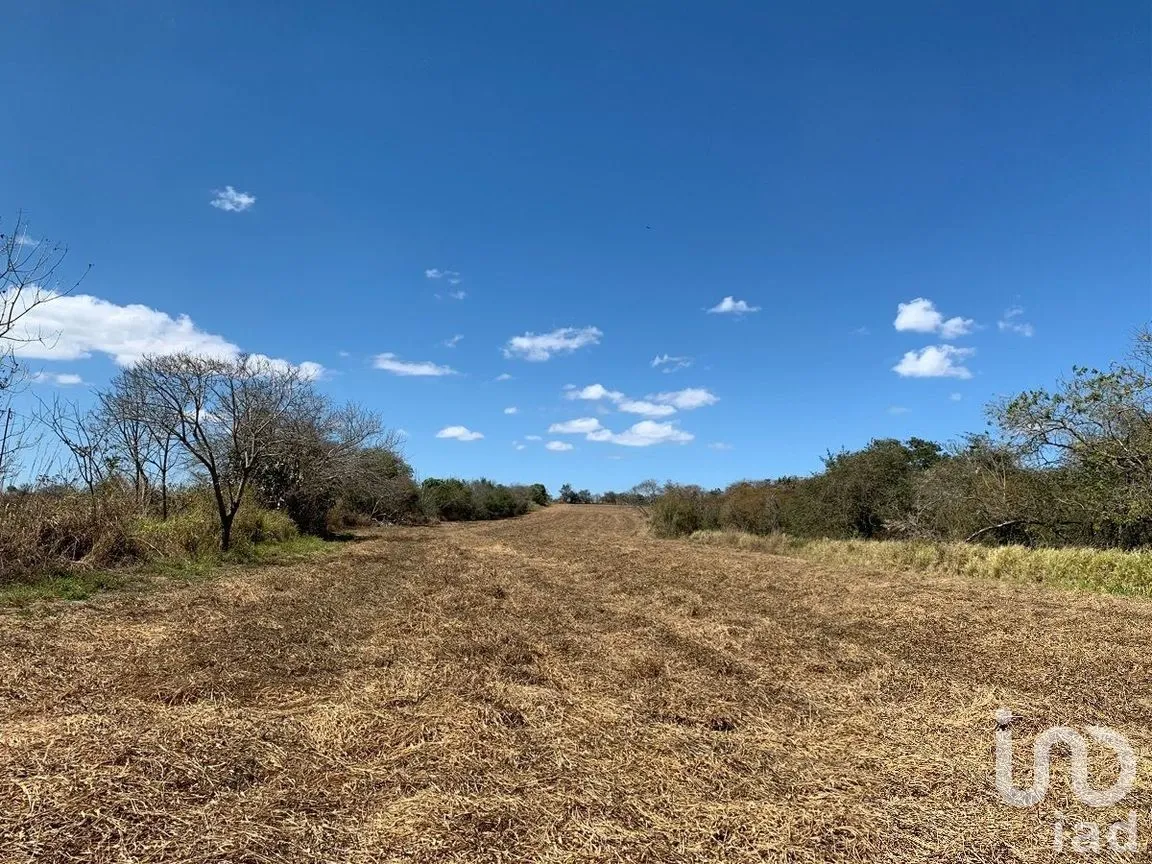 Terreno en Venta en Ocozocoautla de Espinosa Centro, Ocozocoautla de Espinosa, Chiapas | NEX-269499 | iad México | Foto 1 de 9