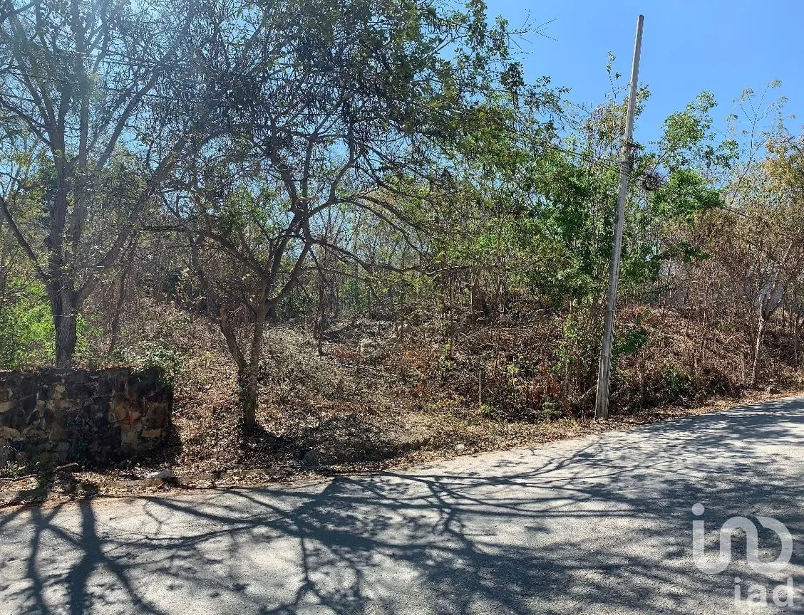 Terreno en Venta en Tuxtlán Mactumatza, Tuxtla Gutiérrez, Chiapas | NEX-269503 | iad México | Foto 2 de 8