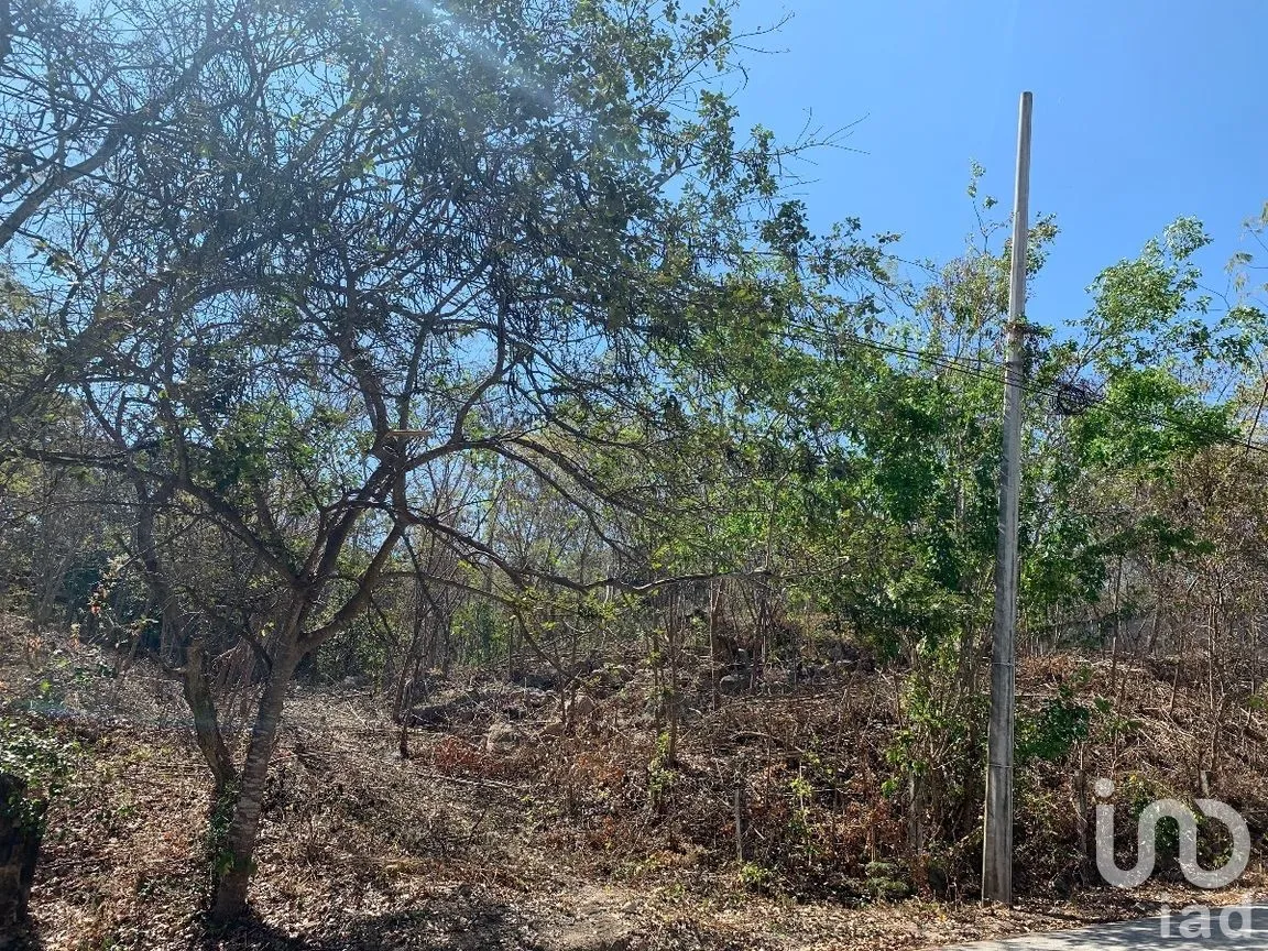 Terreno en Venta en Tuxtlán Mactumatza, Tuxtla Gutiérrez, Chiapas | NEX-269503 | iad México | Foto 3 de 8