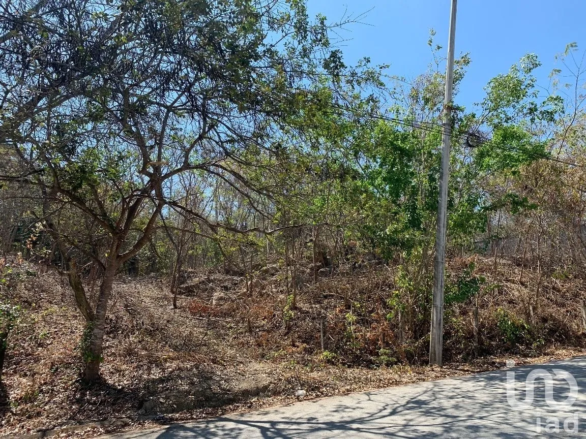Terreno en Venta en Tuxtlán Mactumatza, Tuxtla Gutiérrez, Chiapas | NEX-269503 | iad México | Foto 1 de 8
