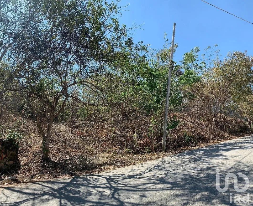 Terreno en Venta en Tuxtlán Mactumatza, Tuxtla Gutiérrez, Chiapas | NEX-269504 | iad México | Foto 4 de 8