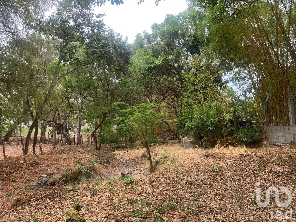 Terreno en Venta en El Jobo, Tuxtla Gutiérrez, Chiapas | NEX-269506 | iad México | Foto 4 de 5