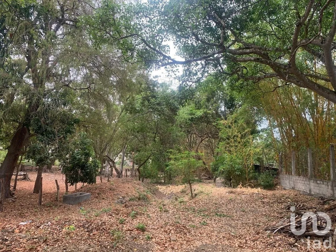Terreno en Venta en El Jobo, Tuxtla Gutiérrez, Chiapas | NEX-269506 | iad México | Foto 5 de 5