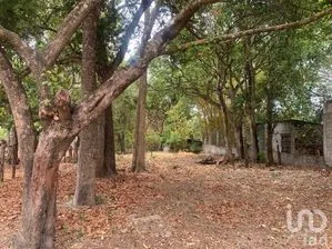 NEX-269506 - Terreno en Venta en El Jobo, CP 29100, Chiapas.