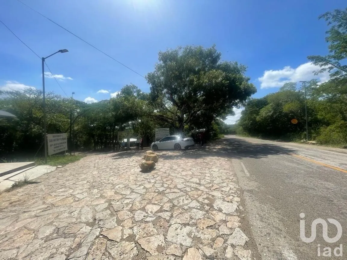 Terreno en Venta en San Antonio Bombano, Berriozábal, Chiapas | NEX-269509 | iad México | Foto 2 de 9