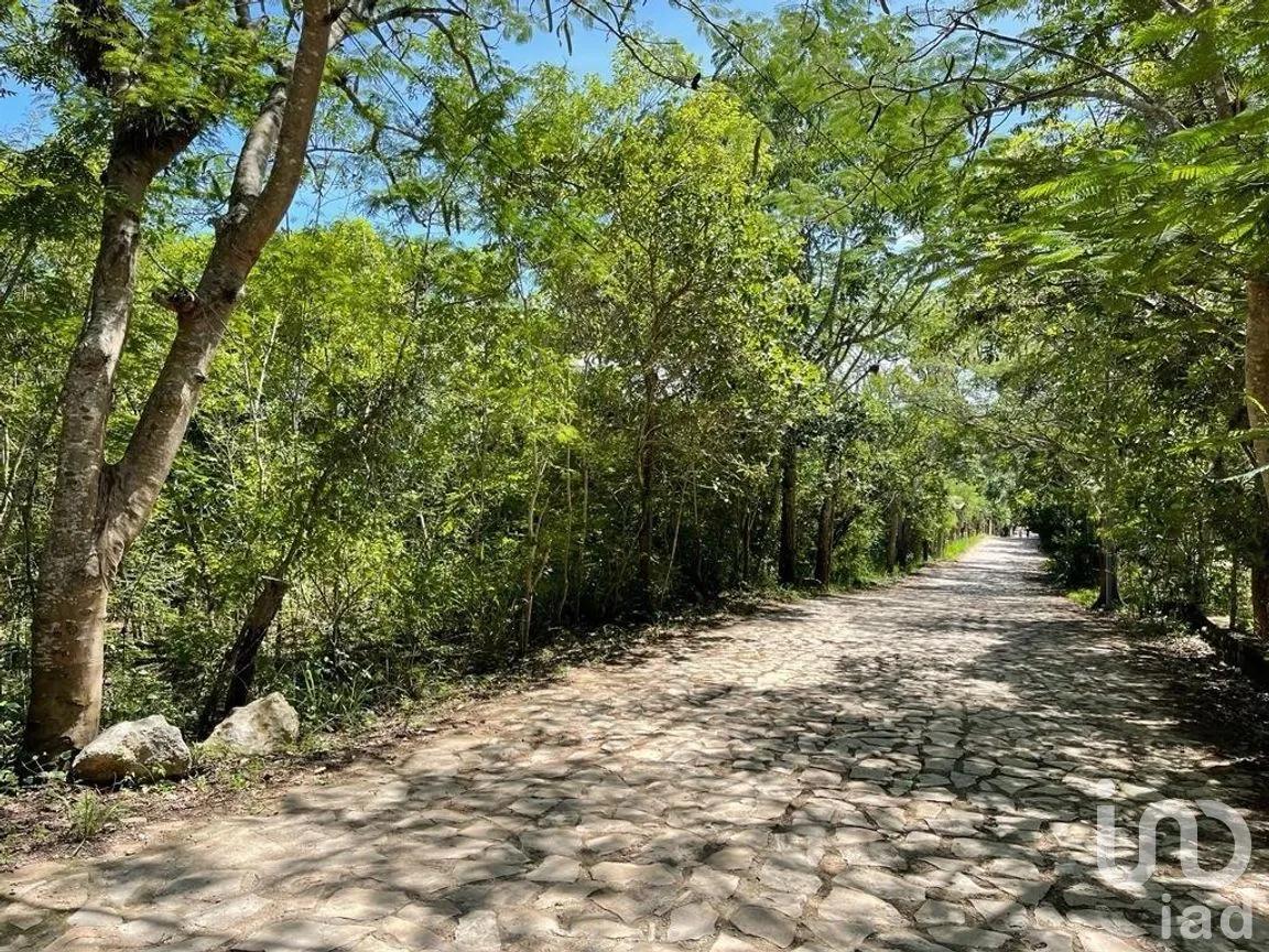Terreno en Venta en San Antonio Bombano, Berriozábal, Chiapas | NEX-269509 | iad México | Foto 4 de 9