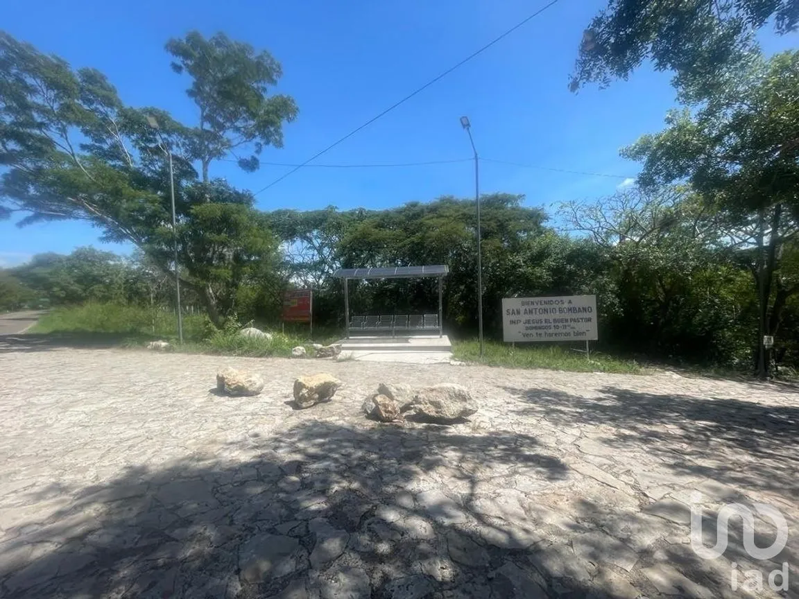Terreno en Venta en San Antonio Bombano, Berriozábal, Chiapas | NEX-269509 | iad México | Foto 5 de 9