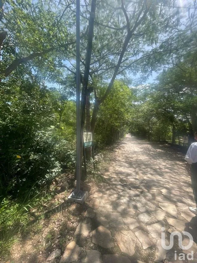Terreno en Venta en San Antonio Bombano, Berriozábal, Chiapas | NEX-269509 | iad México | Foto 6 de 9