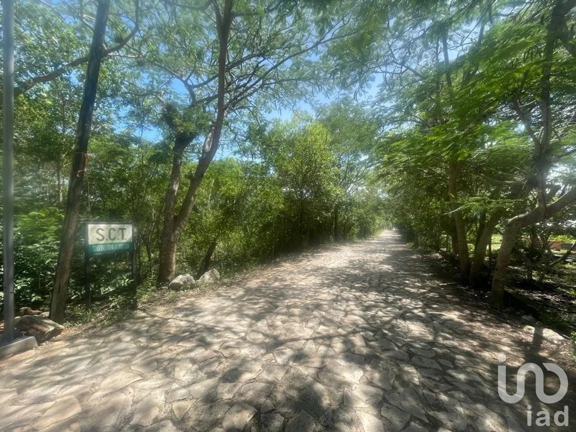 Terreno en Venta en San Antonio Bombano, Berriozábal, Chiapas | NEX-269509 | iad México | Foto 7 de 9