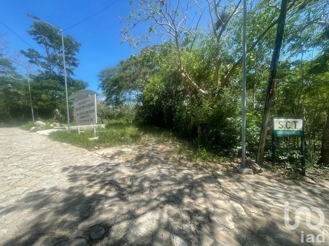 Terreno en Venta en San Antonio Bombano, Berriozábal, Chiapas | NEX-269509 | iad México | Foto 8 de 9