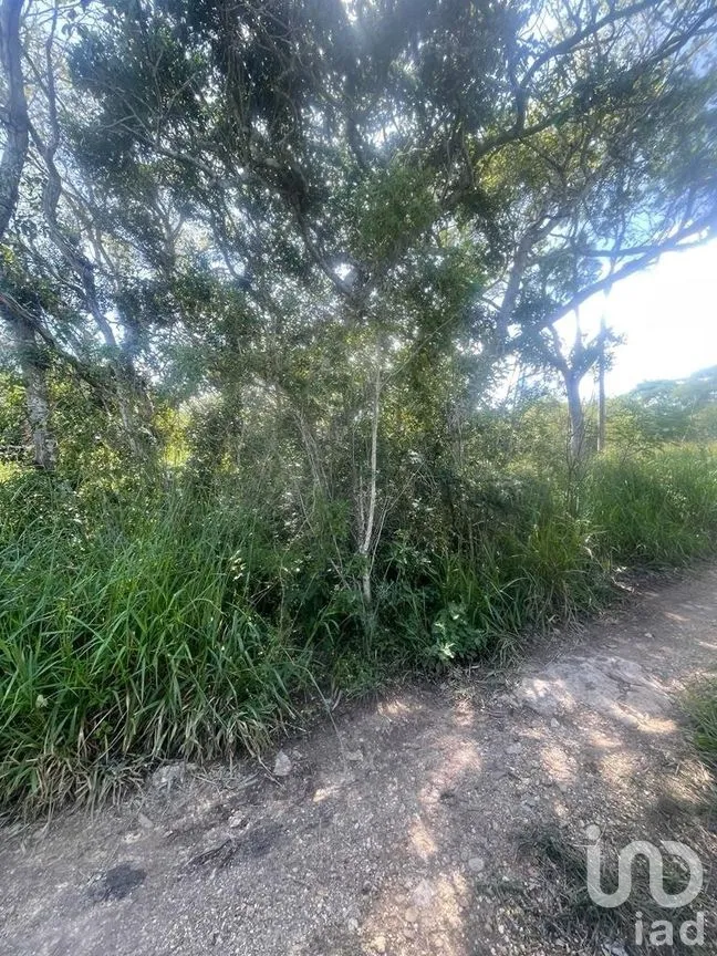 Terreno en Venta en Berriozabal Centro, Berriozábal, Chiapas | NEX-269510 | iad México | Foto 2 de 6
