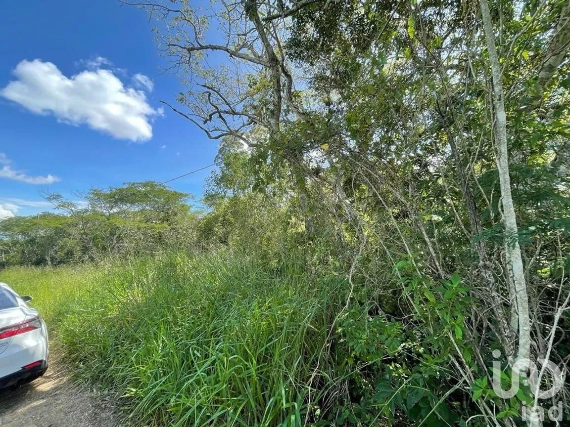 Terreno en Venta en Berriozabal Centro, Berriozábal, Chiapas | NEX-269510 | iad México | Foto 3 de 6