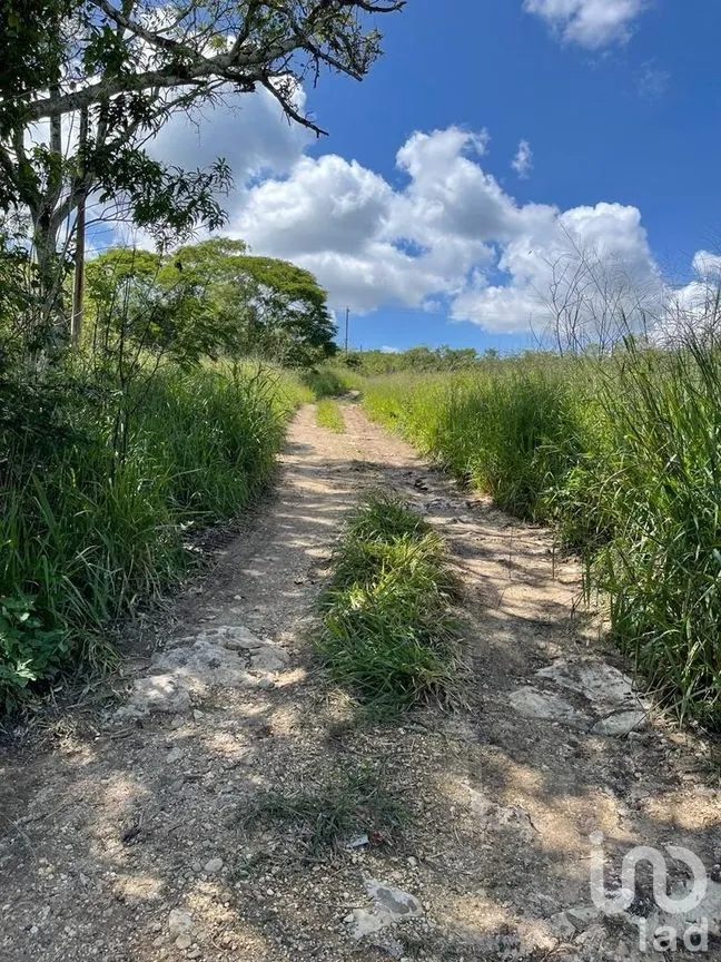 Terreno en Venta en Berriozabal Centro, Berriozábal, Chiapas | NEX-269510 | iad México | Foto 4 de 6