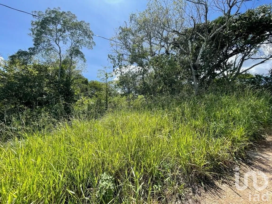 Terreno en Venta en Berriozabal Centro, Berriozábal, Chiapas | NEX-269510 | iad México | Foto 5 de 6