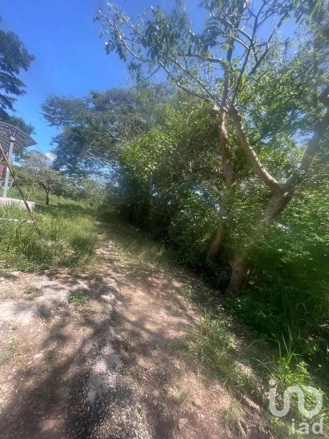Terreno en Venta en Berriozabal Centro, Berriozábal, Chiapas | NEX-269510 | iad México | Foto 6 de 6