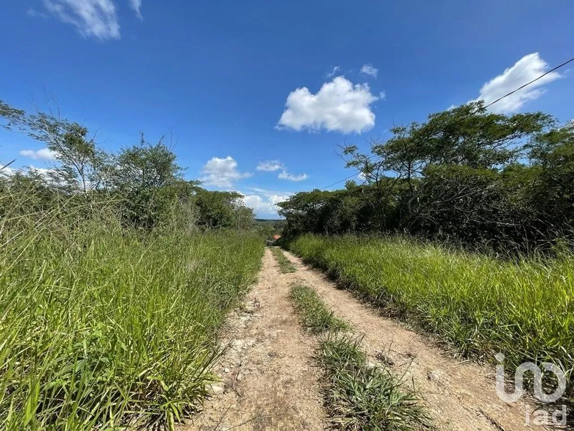 Terreno en Venta en Berriozabal Centro, Berriozábal, Chiapas | NEX-269510 | iad México | Foto 1 de 6
