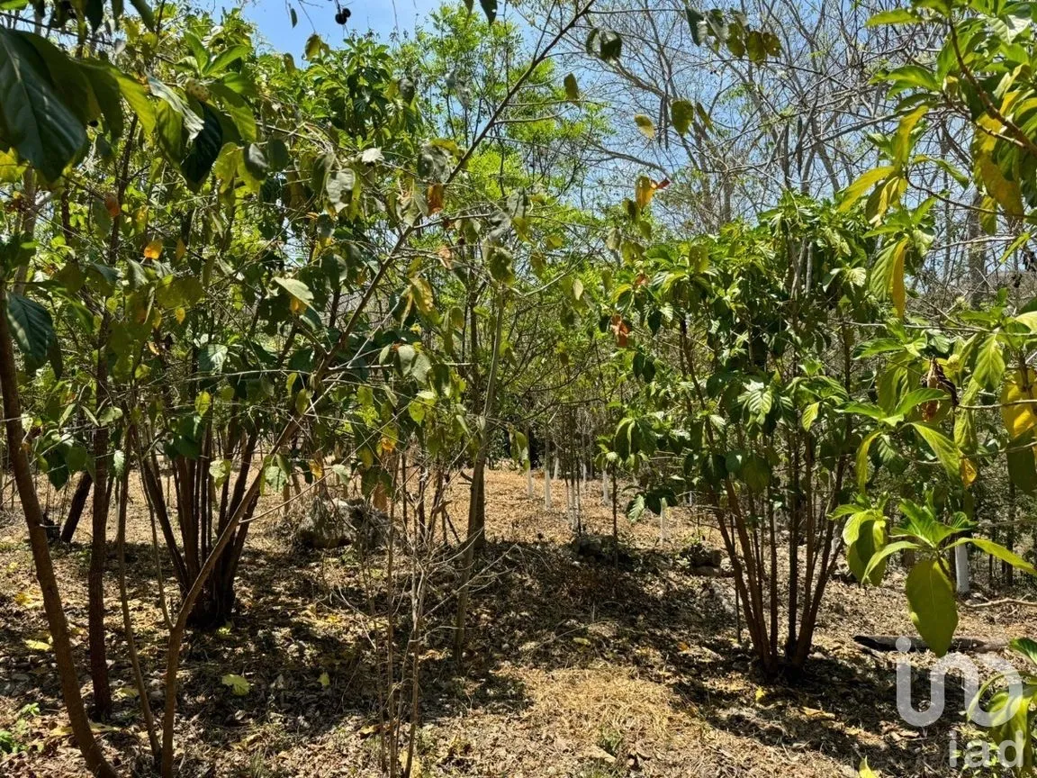 Terreno en Venta en Emiliano Zapata, Tuxtla Gutiérrez, Chiapas | NEX-269514 | iad México | Foto 2 de 13