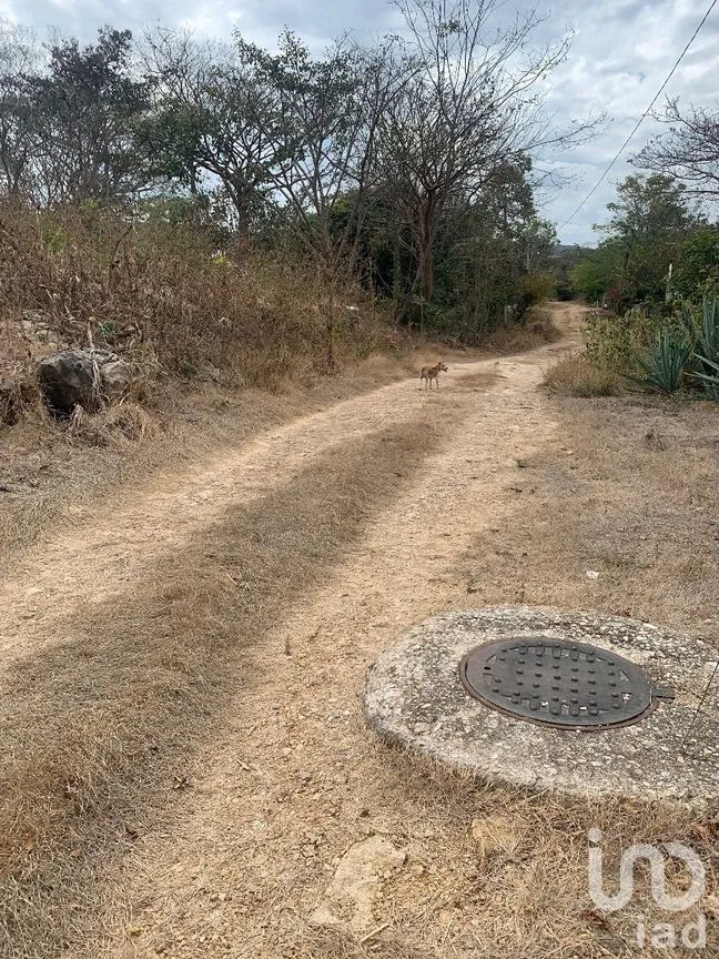 Terreno en Venta en Emiliano Zapata, Tuxtla Gutiérrez, Chiapas | NEX-269514 | iad México | Foto 11 de 13