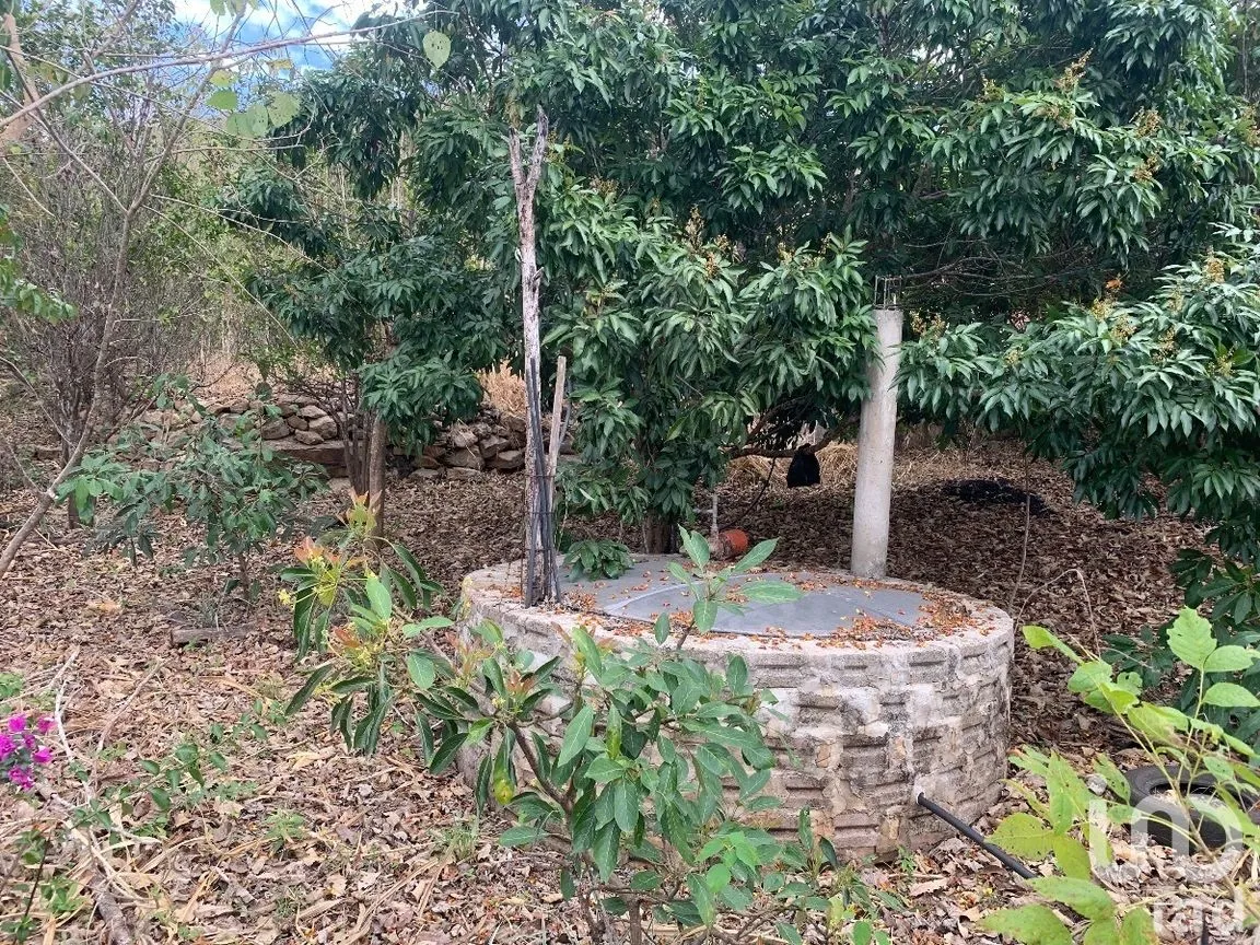 Terreno en Venta en Emiliano Zapata, Tuxtla Gutiérrez, Chiapas | NEX-269514 | iad México | Foto 12 de 13