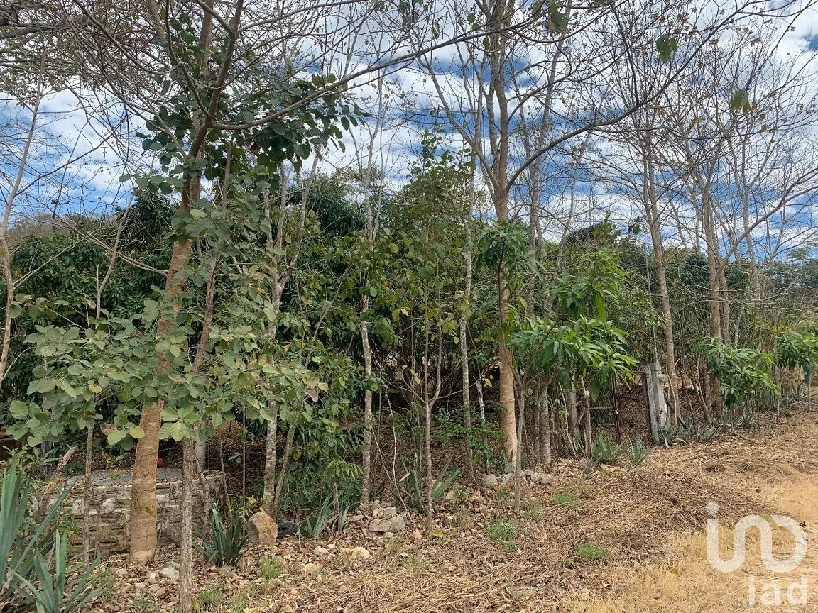 Terreno en Venta en Emiliano Zapata, Tuxtla Gutiérrez, Chiapas | NEX-269514 | iad México | Foto 13 de 13