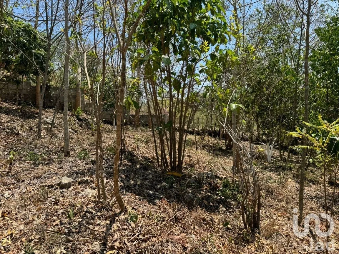 Terreno en Venta en Emiliano Zapata, Tuxtla Gutiérrez, Chiapas | NEX-269514 | iad México | Foto 3 de 13
