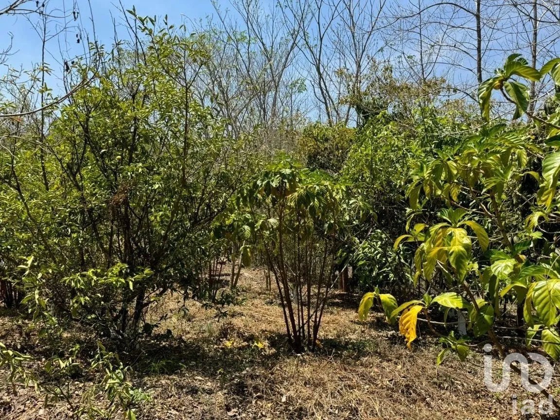 Terreno en Venta en Emiliano Zapata, Tuxtla Gutiérrez, Chiapas | NEX-269514 | iad México | Foto 5 de 13