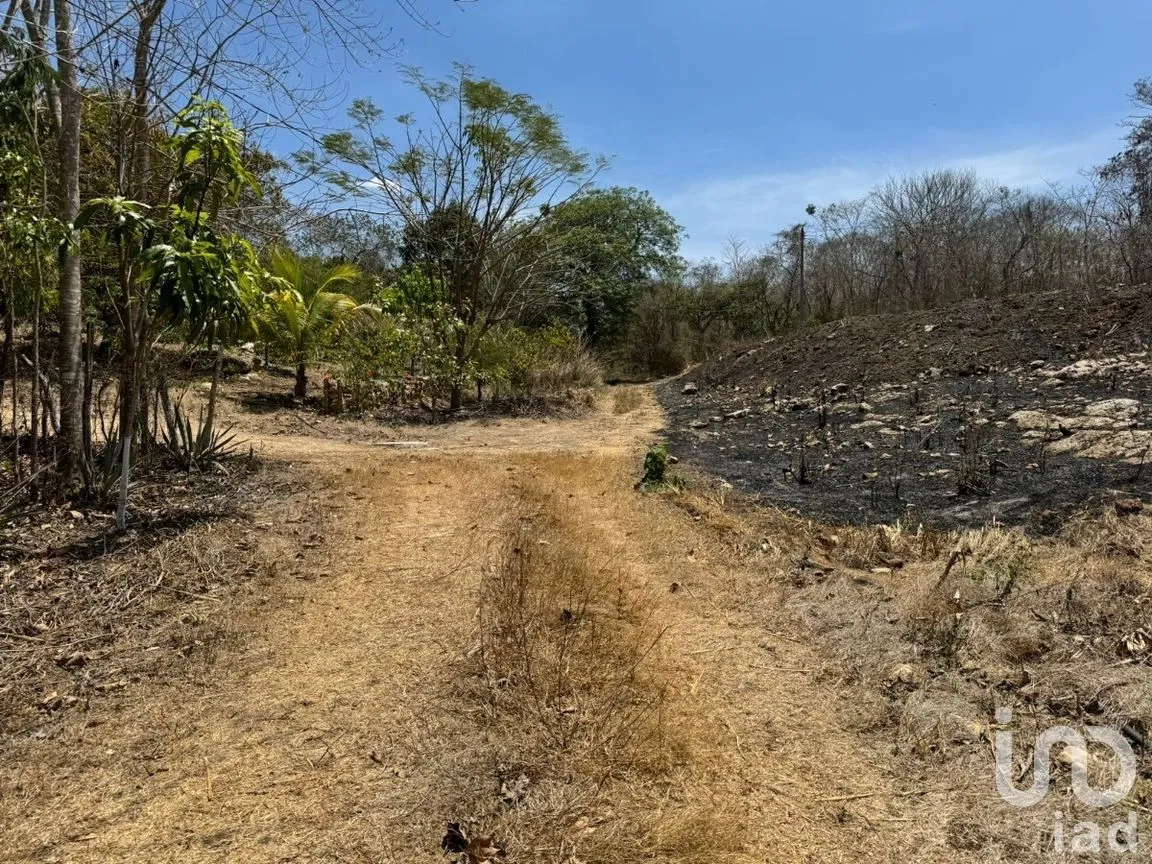 Terreno en Venta en Emiliano Zapata, Tuxtla Gutiérrez, Chiapas | NEX-269514 | iad México | Foto 6 de 13