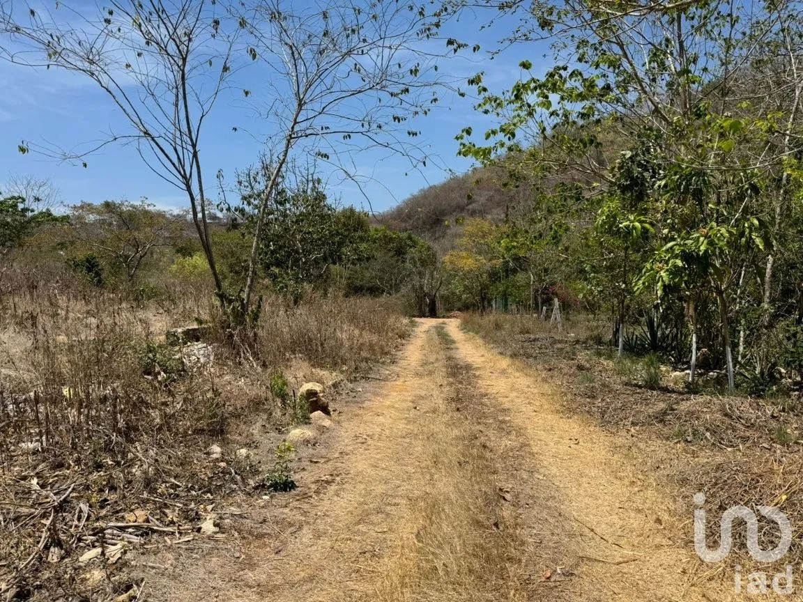 Terreno en Venta en Emiliano Zapata, Tuxtla Gutiérrez, Chiapas | NEX-269514 | iad México | Foto 7 de 13