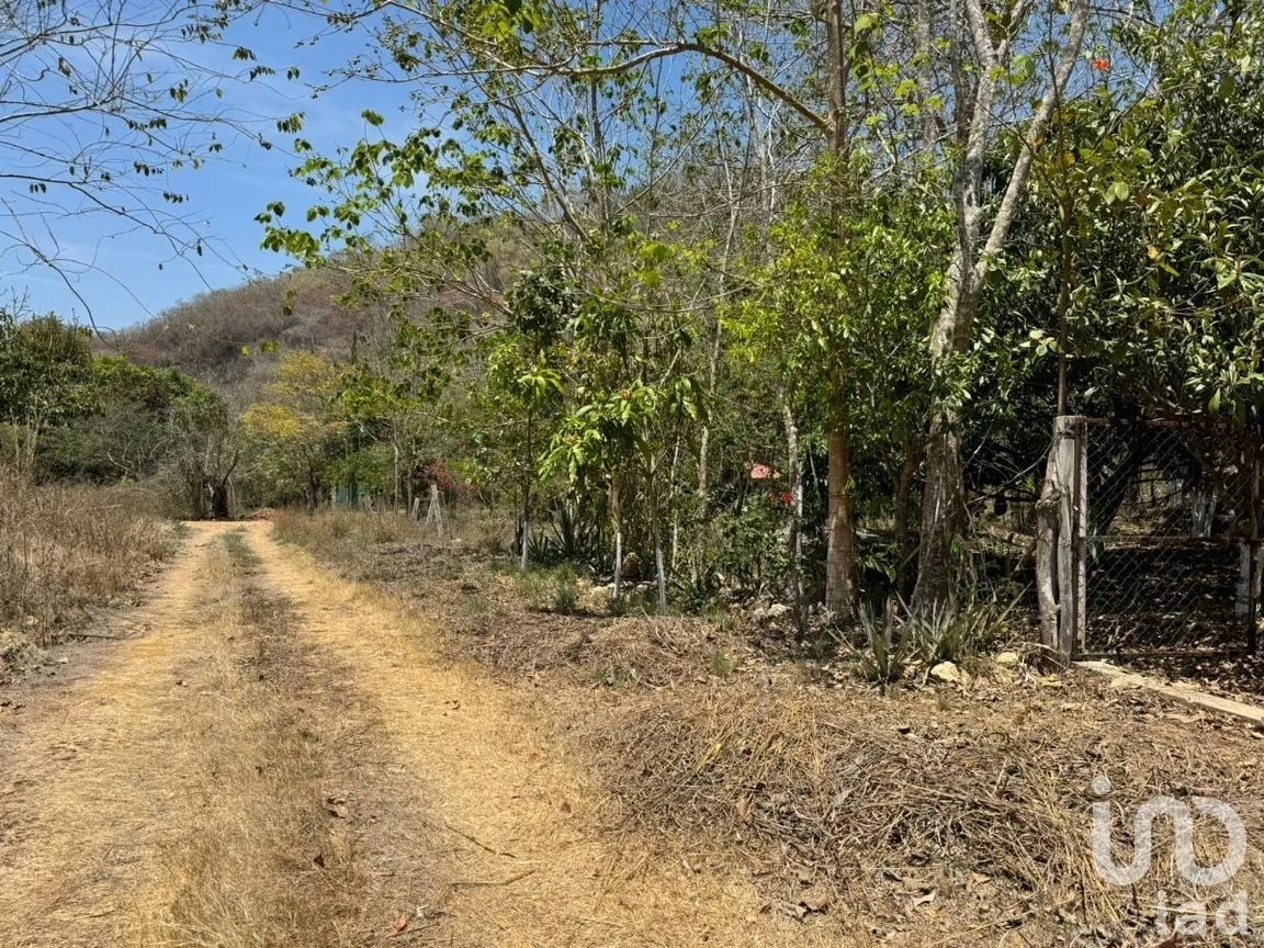 Terreno en Venta en Emiliano Zapata, Tuxtla Guti érrez, Chiapas | NEX-269514 | iad México | Foto 8 de 13