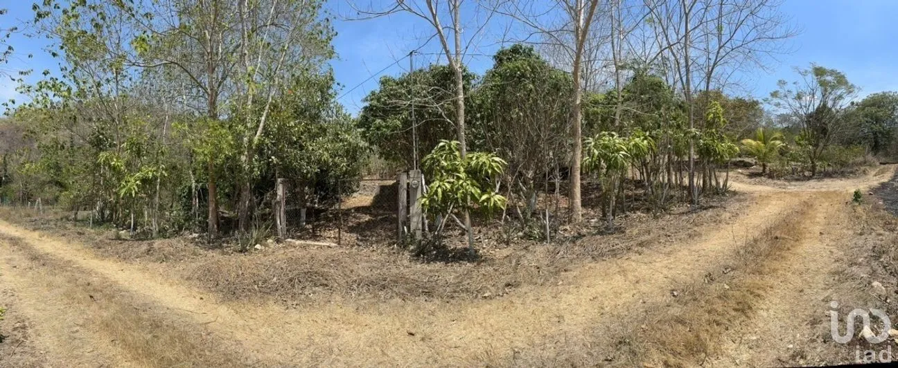 Terreno en Venta en Emiliano Zapata, Tuxtla Gutiérrez, Chiapas | NEX-269514 | iad México | Foto 9 de 13
