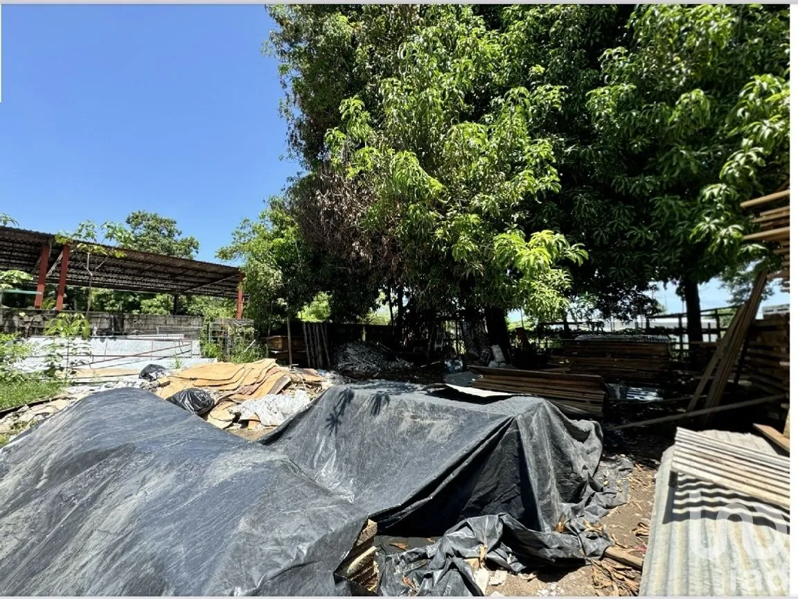 Terreno en Venta en 11 de Septiembre, Tapachula, Chiapas | NEX-269517 | iad México | Foto 3 de 14