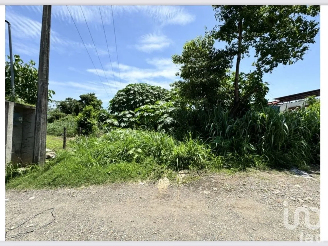 Terreno en Venta en 11 de Septiembre, Tapachula, Chiapas | NEX-269517 | iad México | Foto 10 de 14