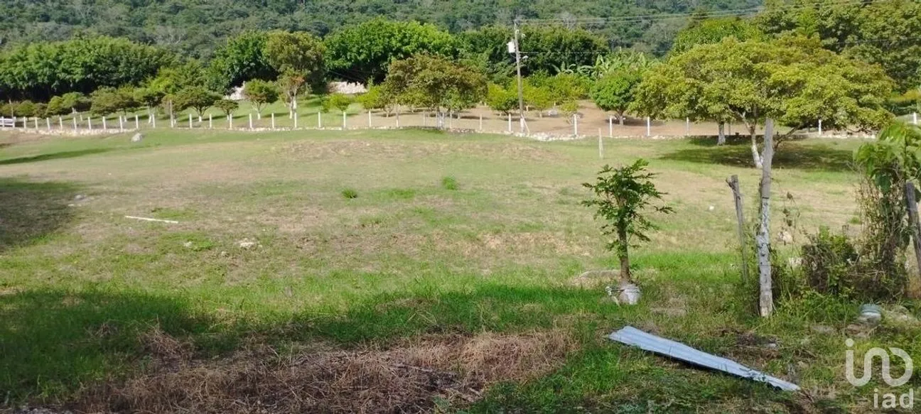 Terreno en Venta en Álvaro Obregón, San Fernando, Chiapas | NEX-269520 | iad México | Foto 3 de 10