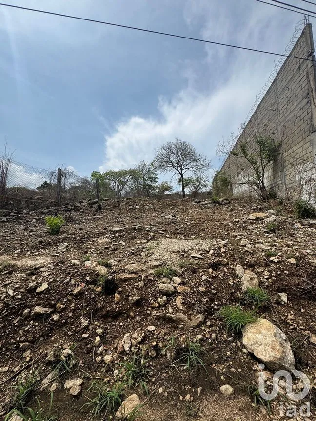Terreno en Renta en Vista Hermosa, Berriozábal, Chiapas | NEX-269740 | iad México | Foto 2 de 7